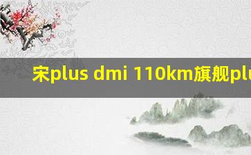 宋plus dmi 110km旗舰plus版